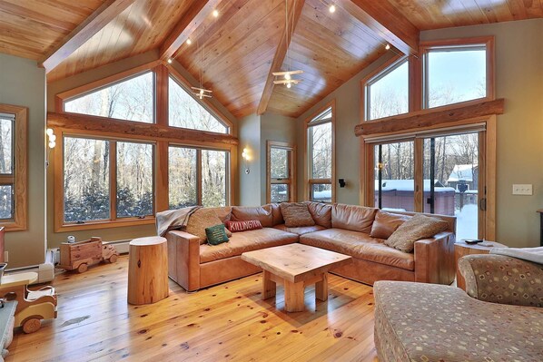 TV, music library, video library, stereo