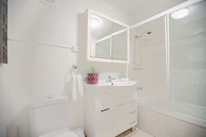 Shower, hair dryer, towels