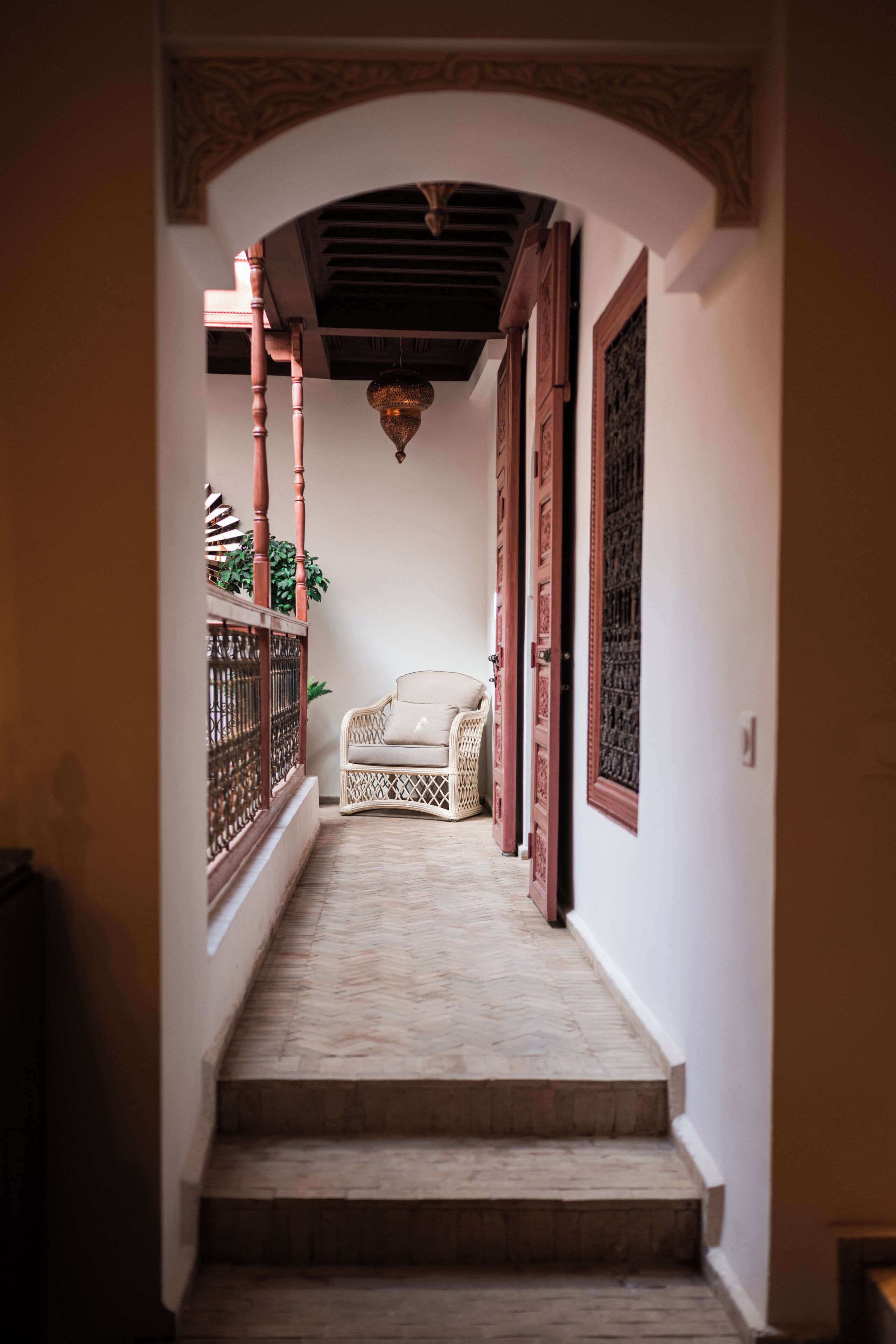 Photo - Le Singe Rose & SPA