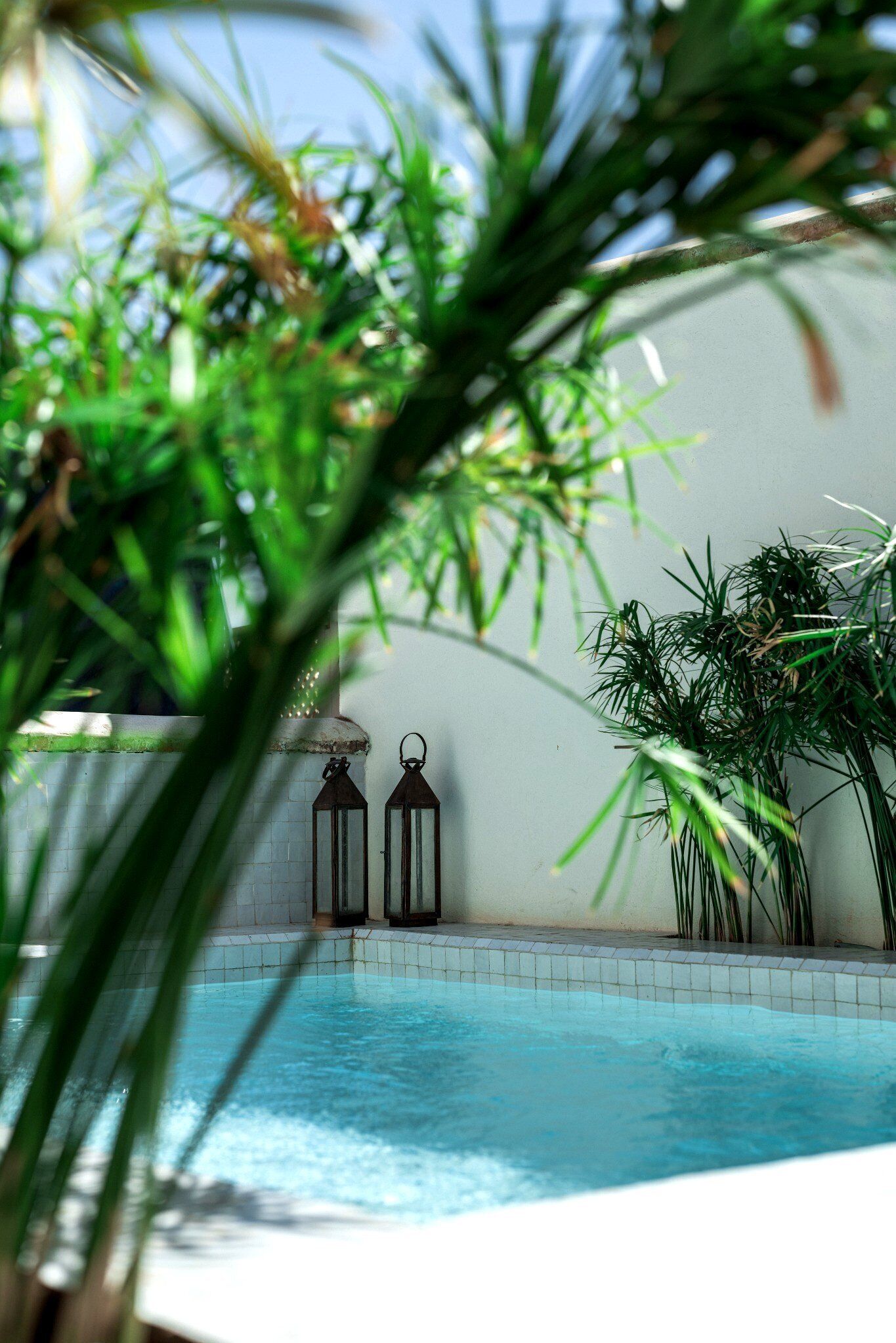 Una piscina con dos faroles y plantas al fondo.
