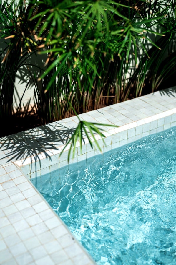 Outdoor pool, pool umbrellas, sun loungers