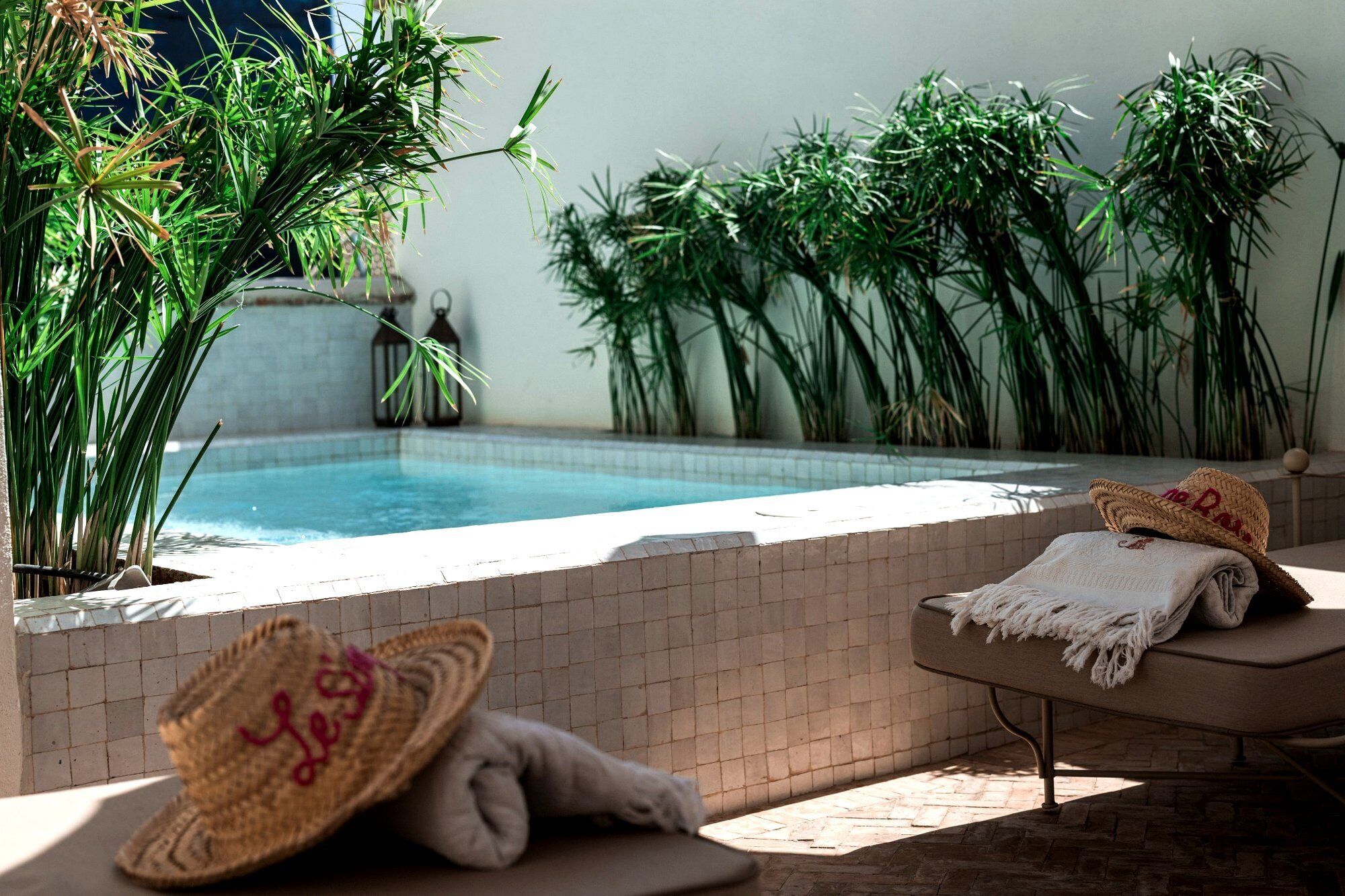 Photo - Le Singe Rose & SPA