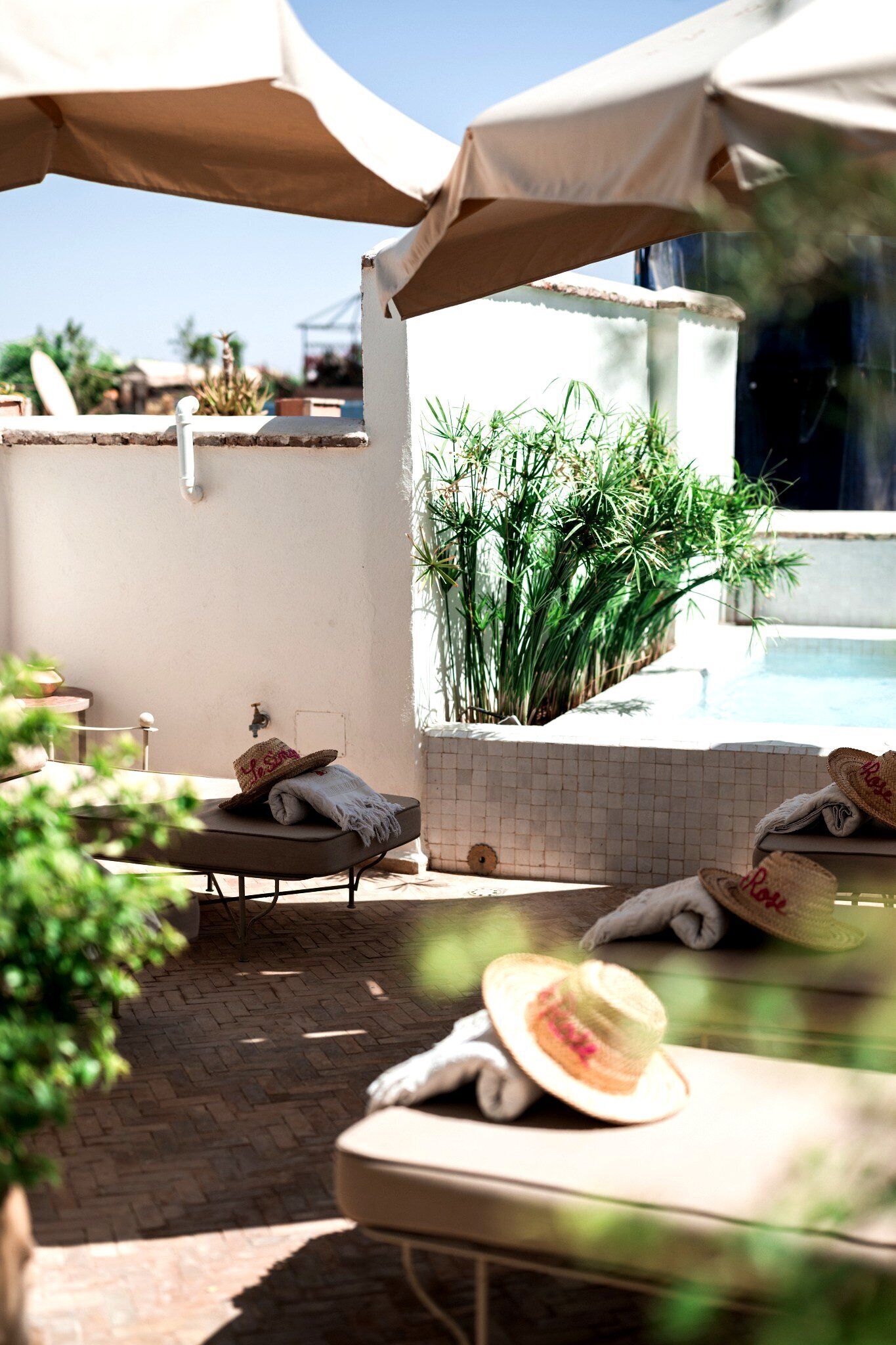 Photo - Le Singe Rose & SPA