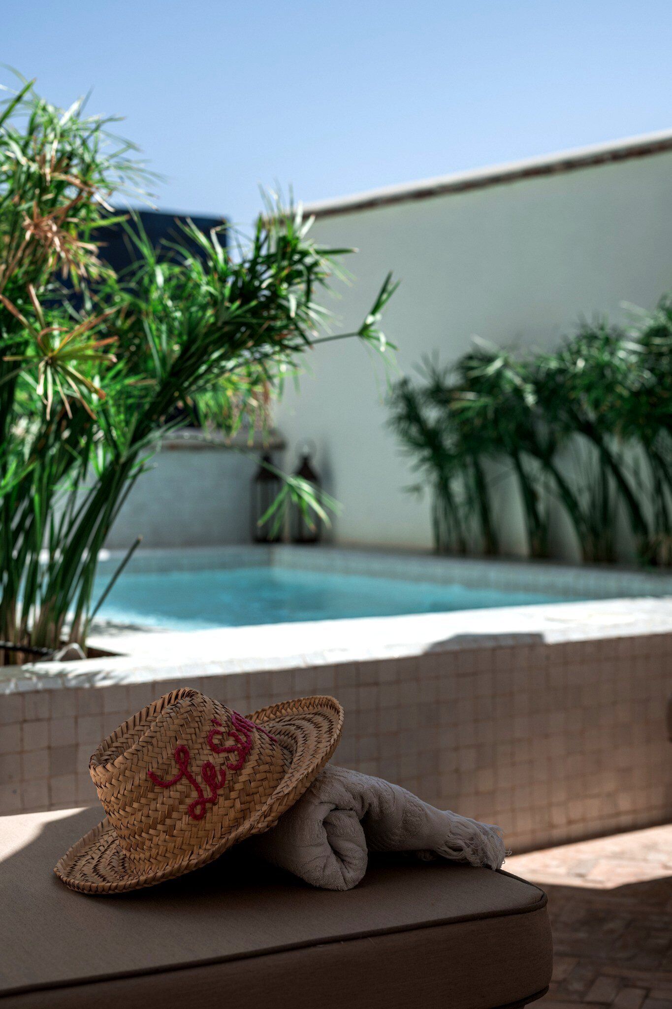 Photo - Le Singe Rose