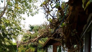 Unclassified image, 4 of 72, button - The Hive Cottage By Royal Collection  (Nainital)