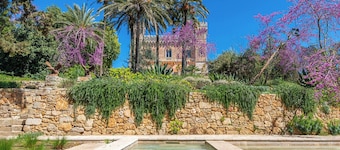 Castle Elvira - The Castle