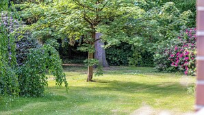 A garden with a large tree, a hedge, and flowering bushes. - have-a-nice-stay - modern, near train station, quiet, 15 minutes by train to HH (Ahrensburg)