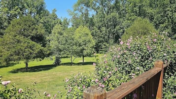 Àrea exterior de l'allotjament