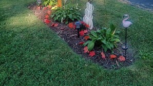 Un jardin agrémenté de diverses plantes et de jeux de lumière décoratifs.