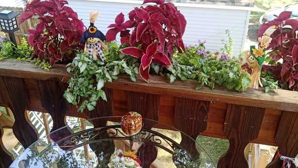 Une table ronde en verre, agrémentée d’un élément décoratif central, entourée de meubles en bois et de plantes en pot.