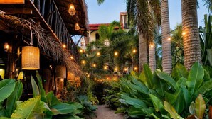 Un sendero bordeado por exuberante vegetación tropical que conduce a un edificio con techo de paja y luces colgantes.