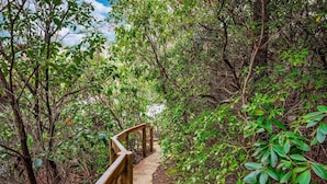 A stone pathway with wooden railings surrounded by dense greenery. - Lake Lahusage Front l Private Dock, Game Room (Mentone)