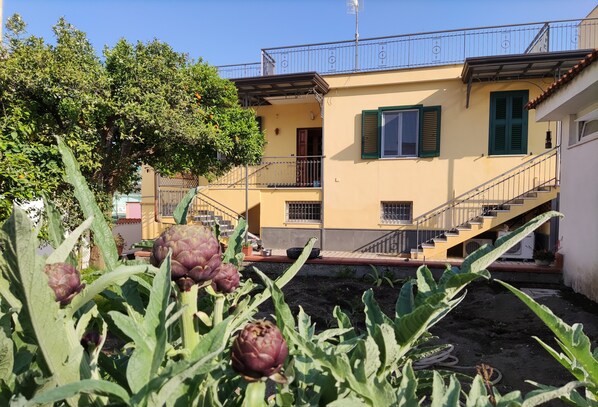 Front of property - Antoniet (Naples)