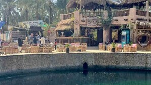 A poolside area with outdoor seating, palm trees, and a building with a thatched roof. - Gazrashek Siwa Eco Lodge (Siwa)