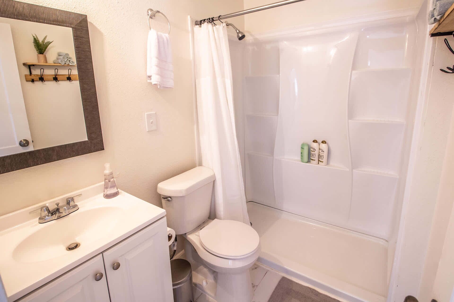 シャワー、ヘアドライヤー、タオル、トイレットペーパー