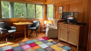 A cozy living room with wooden walls, a large window, a television, and a colorful rug. - Beautiful studio, fully equipped.   (La Molina)