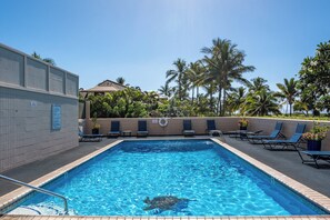 Une piscine avec des chaises longues et des palmiers en arrière-plan.