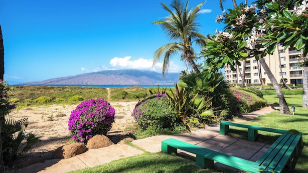 A beachfront view with a bench, palm trees, and a building in the background. - Koa Lagoon #105 Ground Floor Ocean View, 1BD/1BA, Sleeps 4 (Kihei)