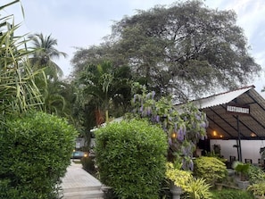 A restaurant with a covered outdoor seating area, surrounded by lush greenery and trees. - Ziziphus Tree Villas (Thissamaharama)