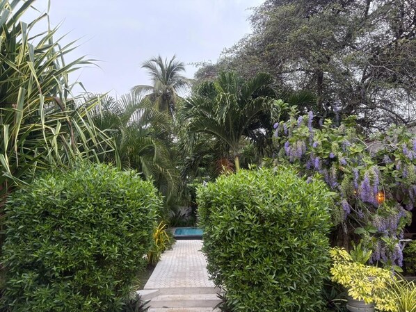 A pathway flanked by lush greenery and a variety of plants, leading to a pool area. - Ziziphus Tree Villas (Thissamaharama)