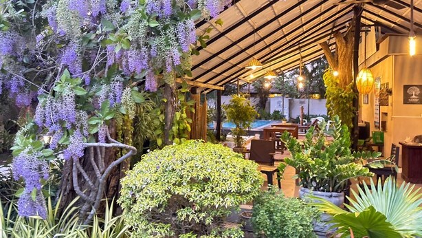 An indoor garden with hanging purple flowers, potted plants, and wooden furniture under a metal roof. - Ziziphus Tree Villas (Thissamaharama)