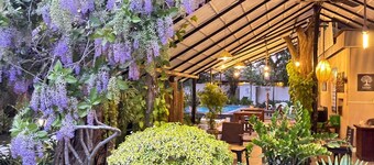 Ziziphus Tree Villas