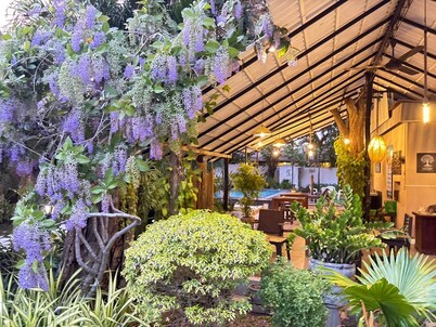 Ziziphus Tree Villas