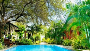 A swimming pool surrounded by lush greenery and a covered seating area. - Ziziphus Tree Villas (Thissamaharama)