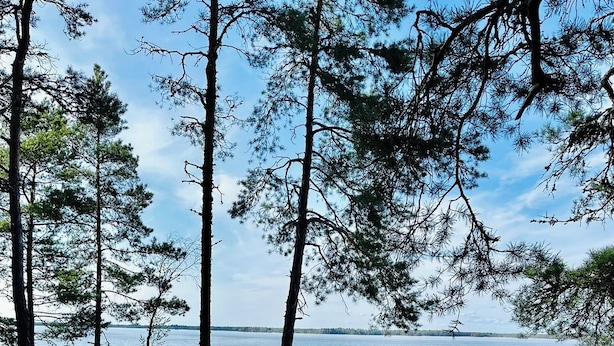 A table and chairs set on a grassy lakeside with trees in the background.