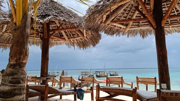Une plage avec des parasols en chaume et des chaises en bois, un palmier et une vue sur l’océan.