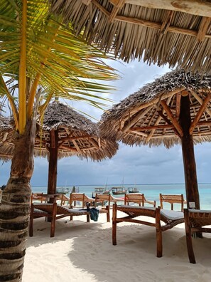 Una playa con sombrillas de paja y sillas de madera, una palmera y vistas al océano.