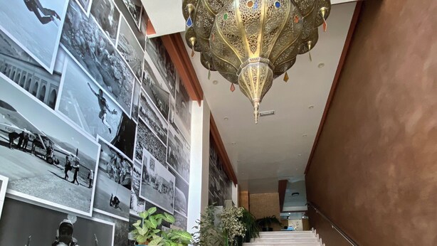 Eine Treppe mit einer Chandelüstere, umgeben von Topfpflanzen und gerahmten Fotografien.