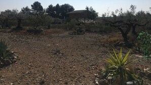 A rustic house surrounded by olive trees and cacti in a dry landscape. - Lovely 4-bed Villa in L'ametlla de Mar, off Grid , (L'Ametlla de Mar)