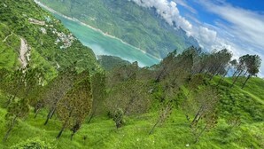 Üppige grüne Landschaft mit klarem Blick auf einen türkisblauen See und ferne Berge.