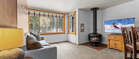 TV, fireplace, offices