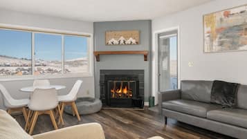 TV, fireplace, computer monitors