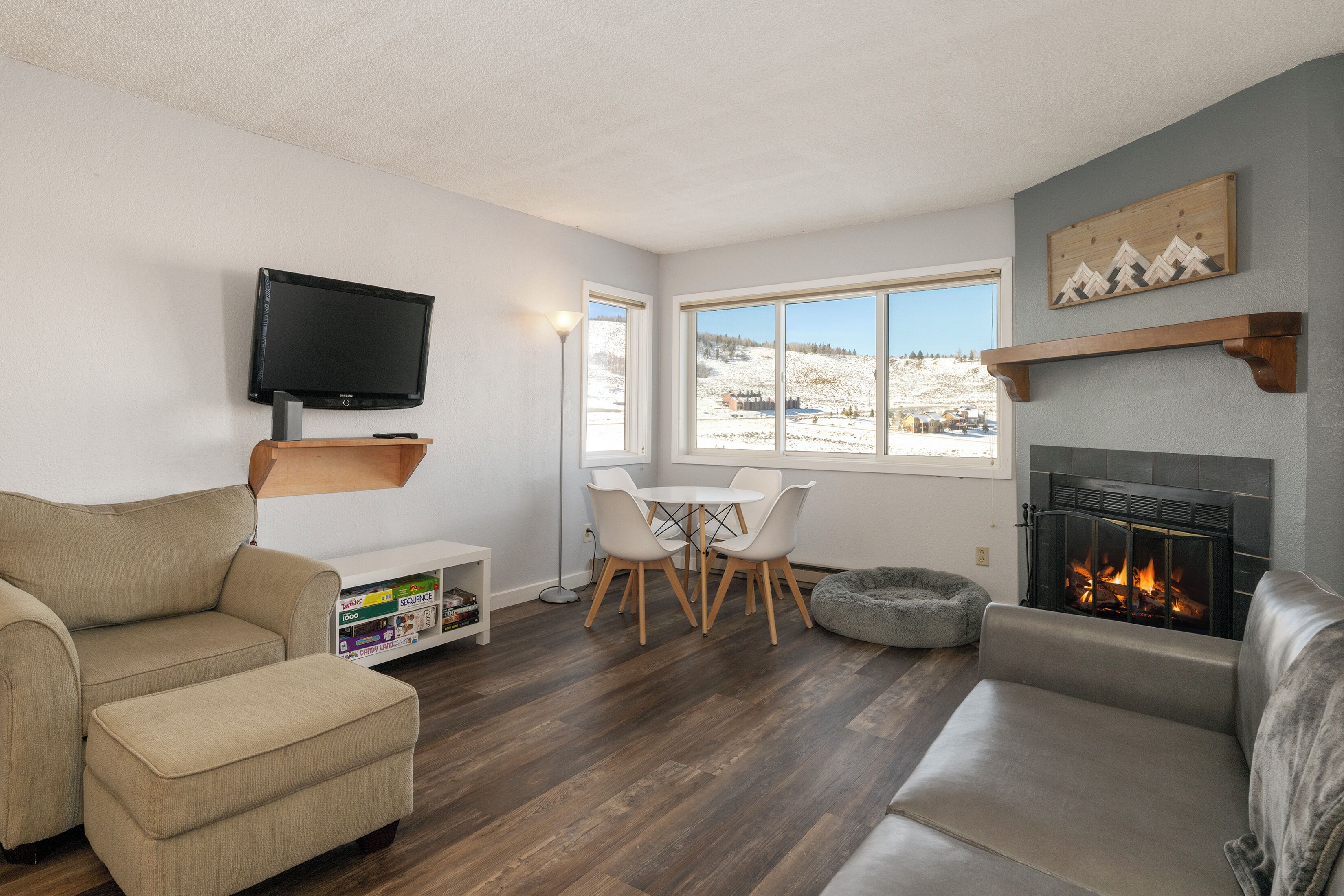 电视、壁炉、电脑显示器