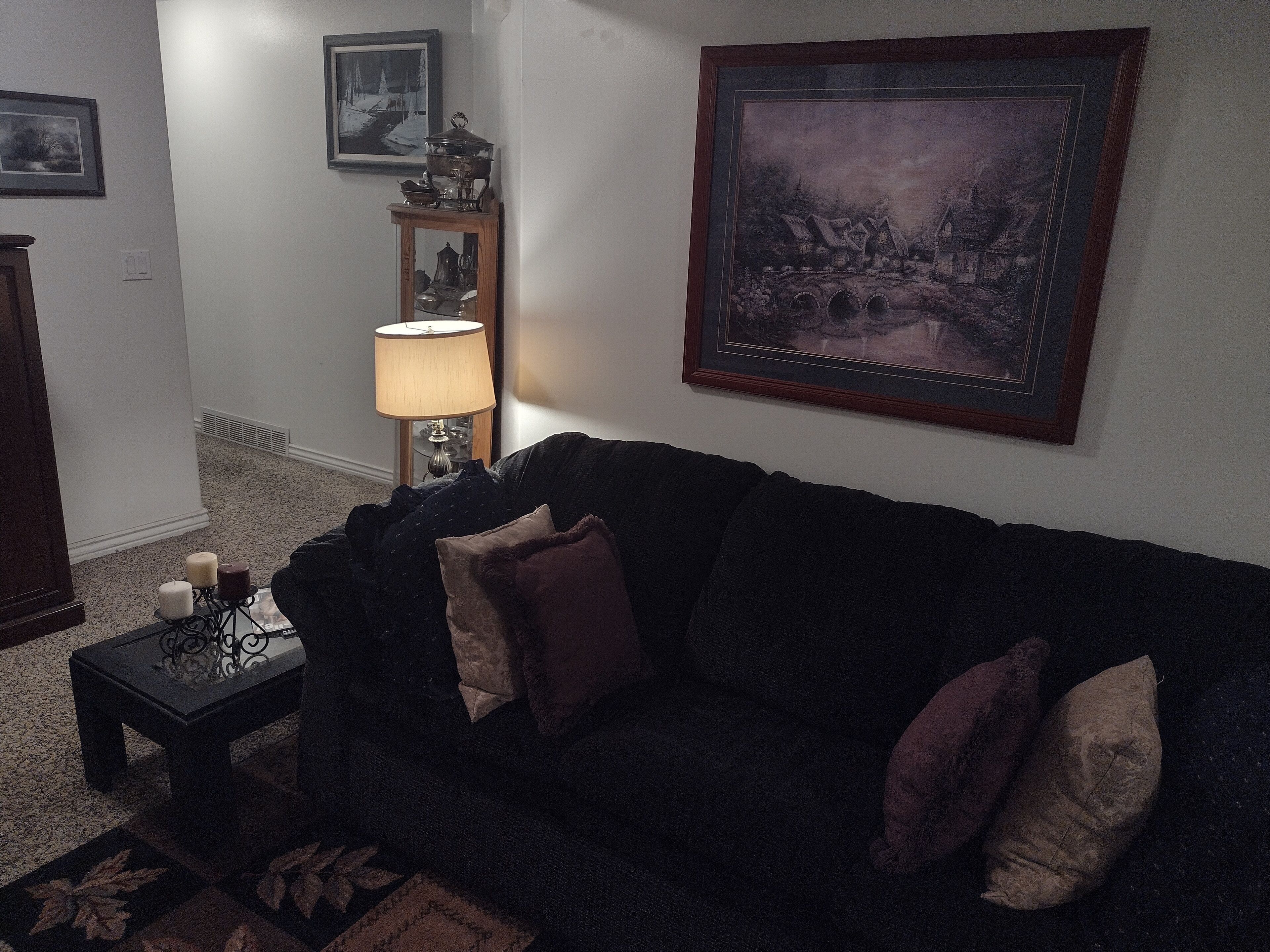 Smart TV, fireplace, books, video library