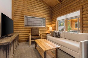 TV, fireplace, offices