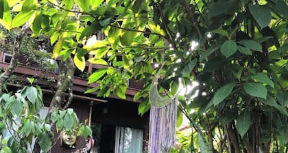 Beautiful Life Chalet in Guarda do Embaú