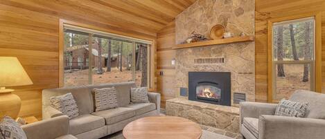 Fernseher, Kamin, Arbeitsbereiche