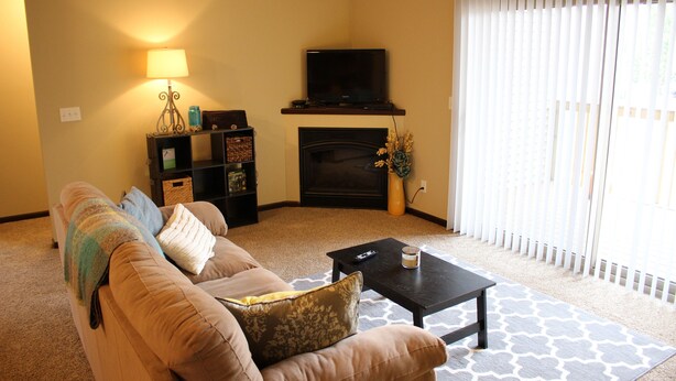 A living room with a sofa, a coffee table, a fireplace, a television, and a window with blinds. - Cozy 2-bedroom condo in Waterloo south side with AC, WiFi & cable TV (Waterloo)