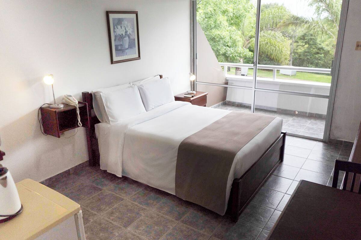 A hotel room with a bed, bedside tables, a lamp, a telephone, and a window with a view of greenery.