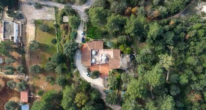 Trulli in the woods of the valley of Itria