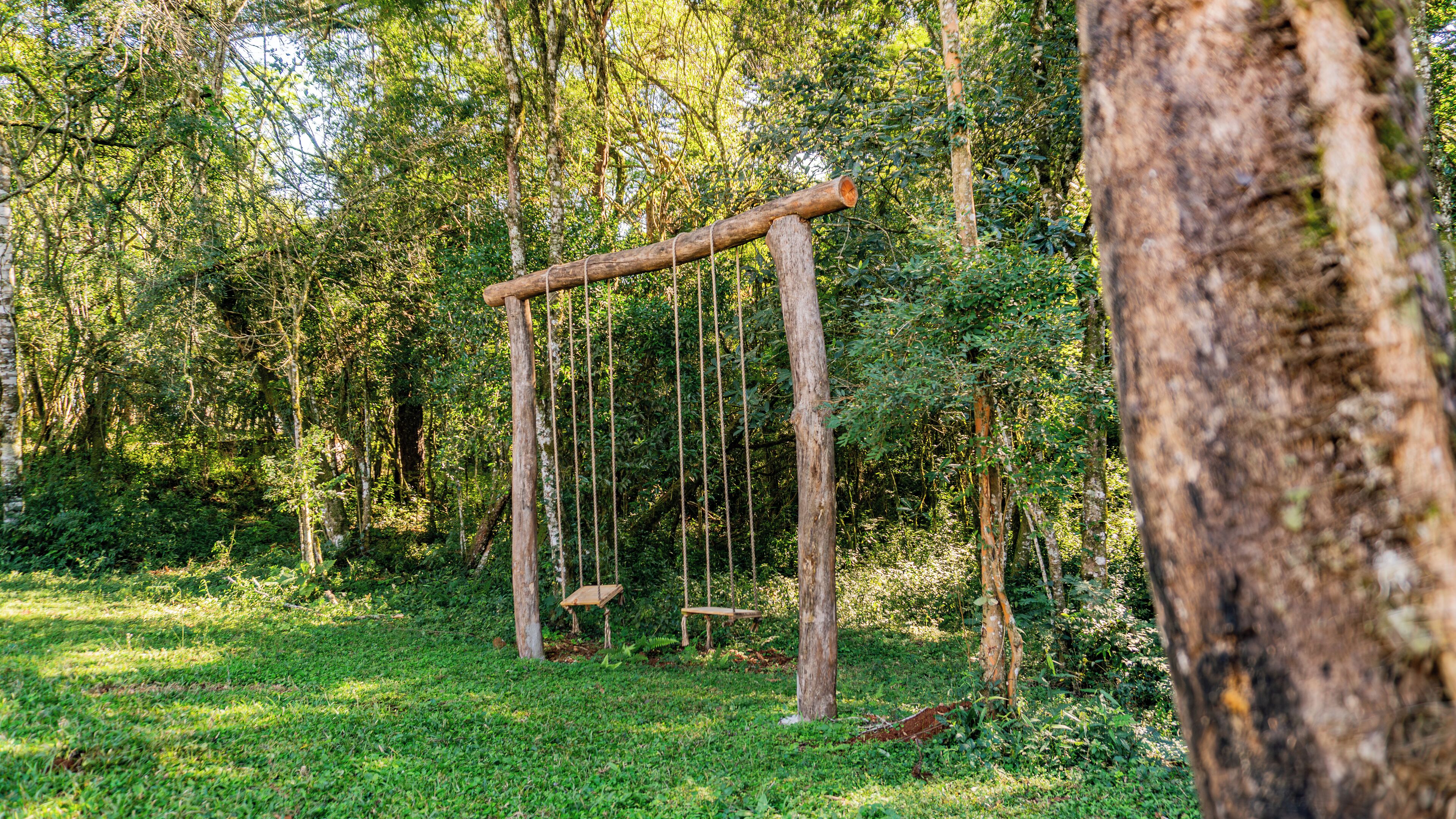 A wooden swing set in a forested area with grass and trees.