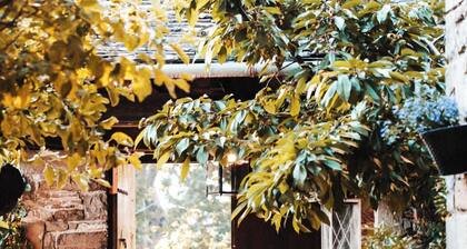 Shamrock Elati Retreats