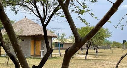 AMENITY TOURS & CAMPING - SERENGETI