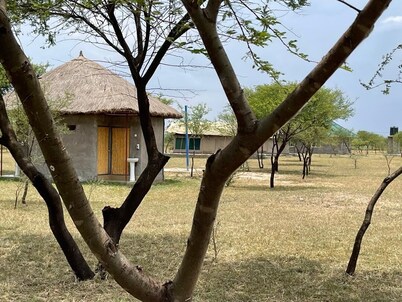 AMENITY TOURS & CAMPING - SERENGETI