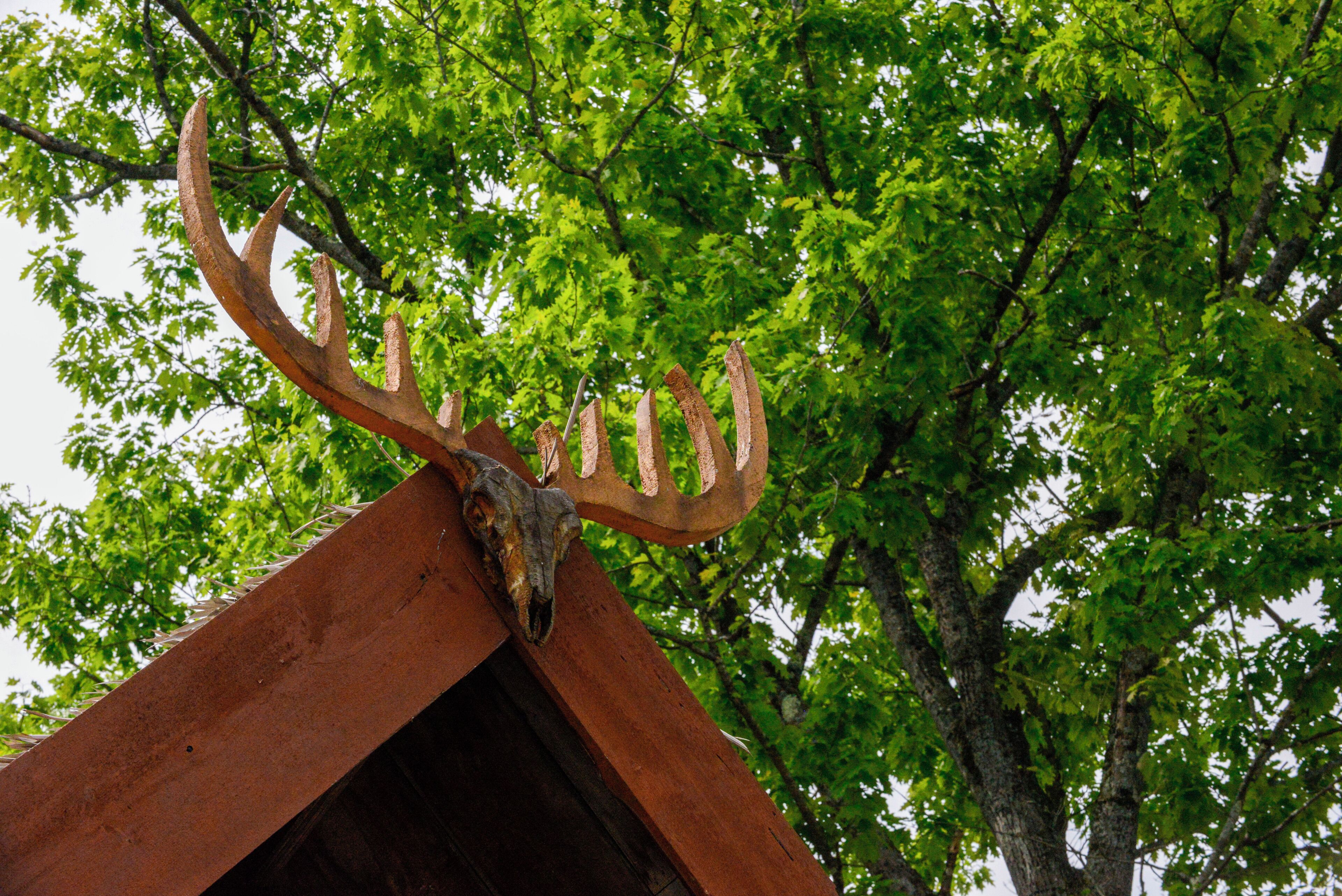 A wooden structure with a large antler mounted on top, surrounded by green foliage.