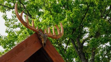 A wooden structure with a large antler mounted on top, surrounded by green foliage.